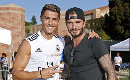 体育名人因 体育名人因